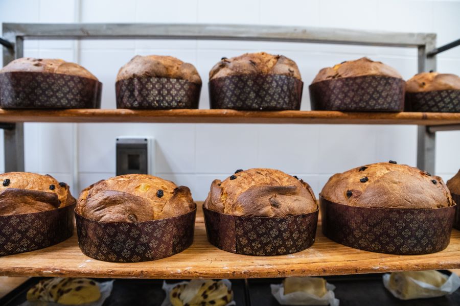 panettone sospeso